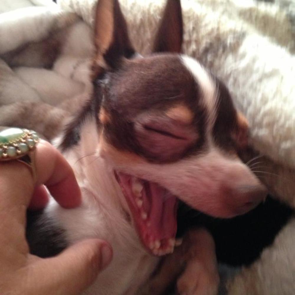 Meet your Posher, Cindy